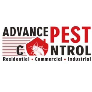 Advance Pest Control Surrey